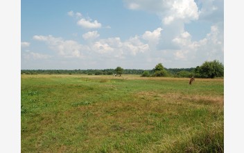 Wilcze w gminie Silno