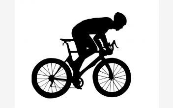 Рівненсько-польські відносини: Що показав фінал Інтелектуального тріатлону