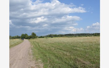 Гутянські оповіді: Убивство німця у Фольварку і смерть Мар’яна Фелінського