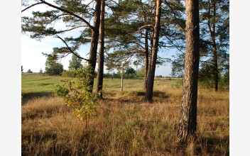 Гутянські оповіді: Доля Яна Скіби – вчителя та офіцера з Вирки. Частина 1