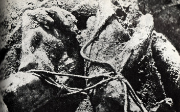 Ukraińska «mokra robota» Putina