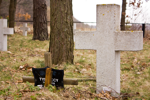 023 pzebraze by lotr