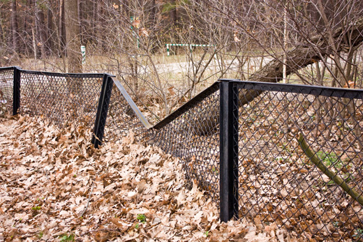 024 pzebraze by lotr