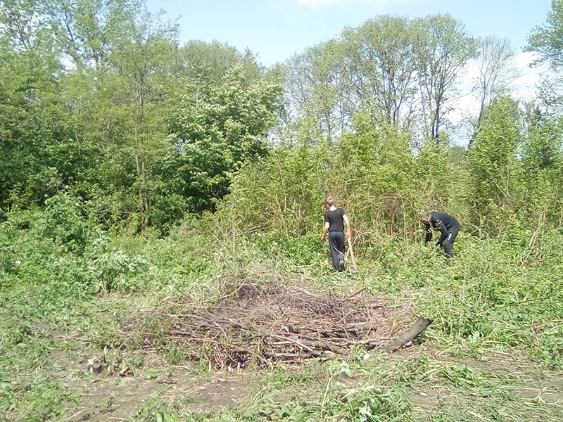 Zlatohorski Zuravnyky1