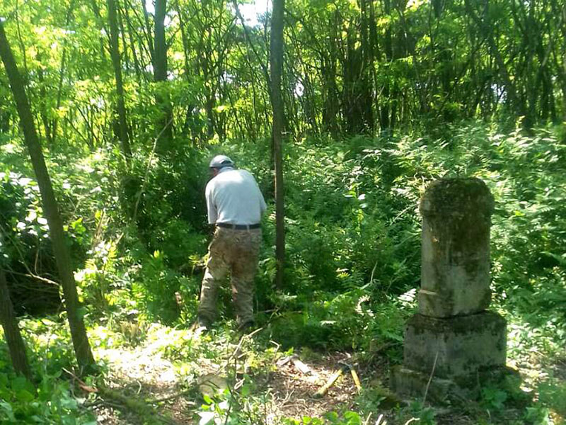 Zlatohorski Vysock 1