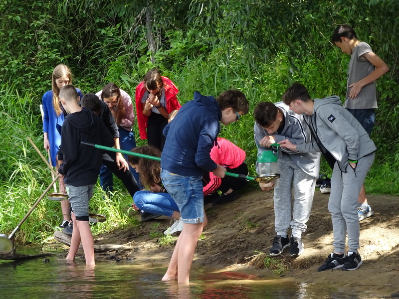 Nadwarcianski Grod 6