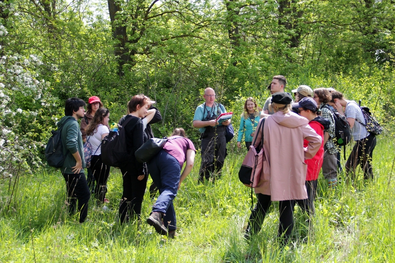 cmentarze powiat zbaraski 5