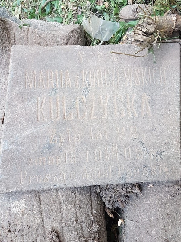 odnaleziona mogila Kulczycka 3