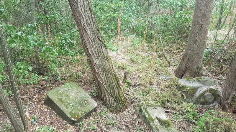 odnaleziona mogila Nikorowicz