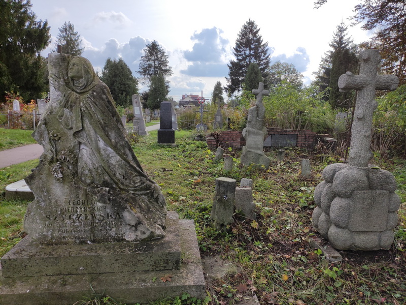 Cmentarz Rowne 8