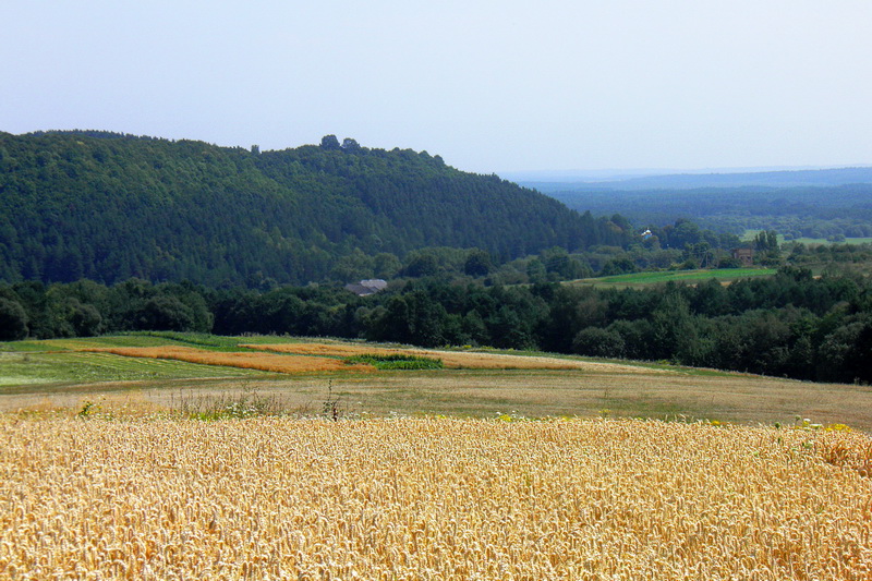 Wystawa Tarnobrzeg 4