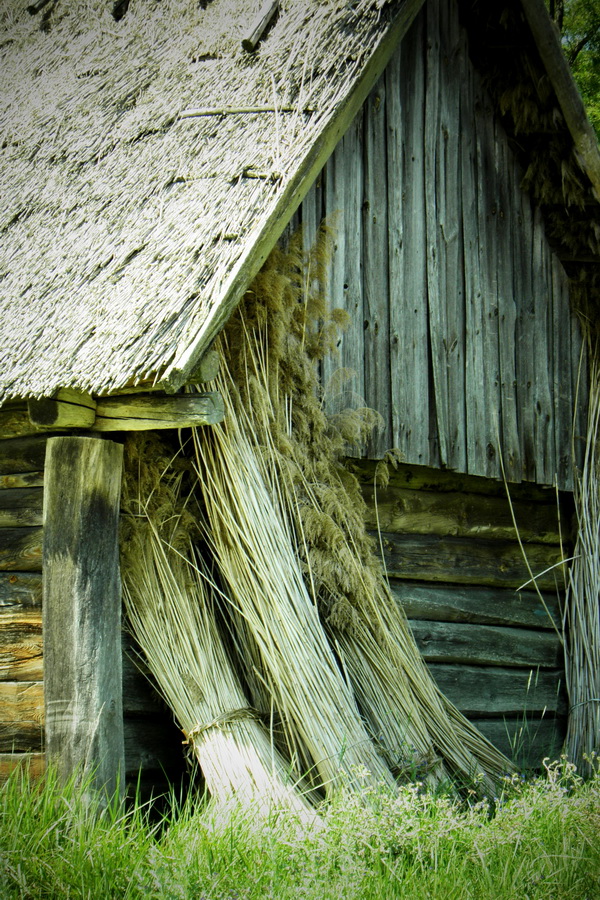 Wystawa Tarnobrzeg 10