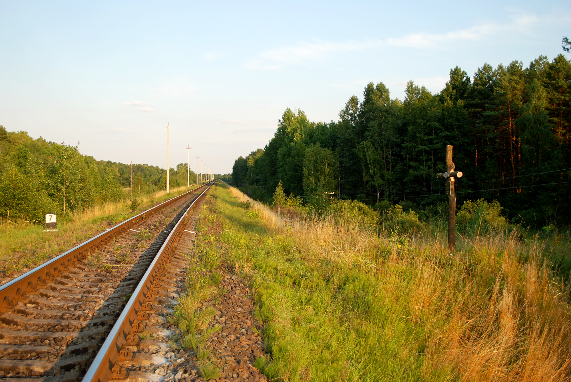 Хрест у Грабінi. Село знаходилося з правої сторони від залізниці, що веде до Сарн.