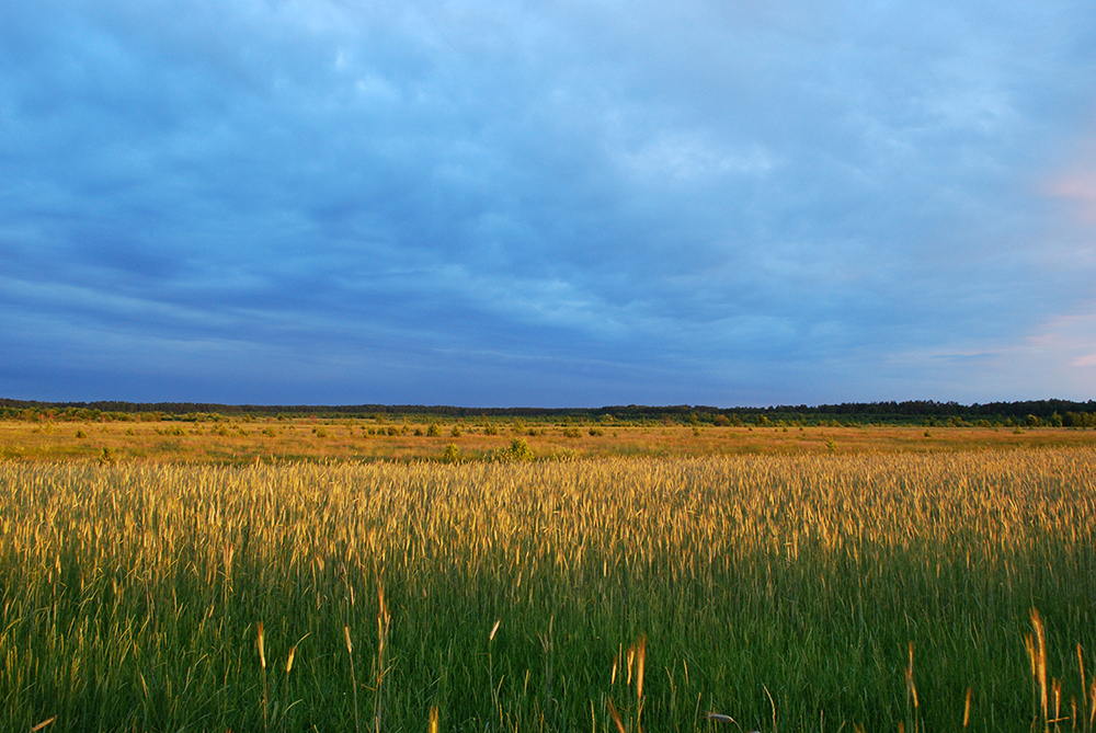 Тут була Гута Скляна (Мидська).