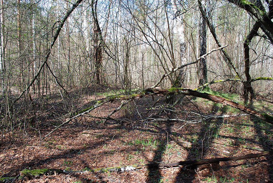 На кожному кроці – те, що залишилося від будинків.