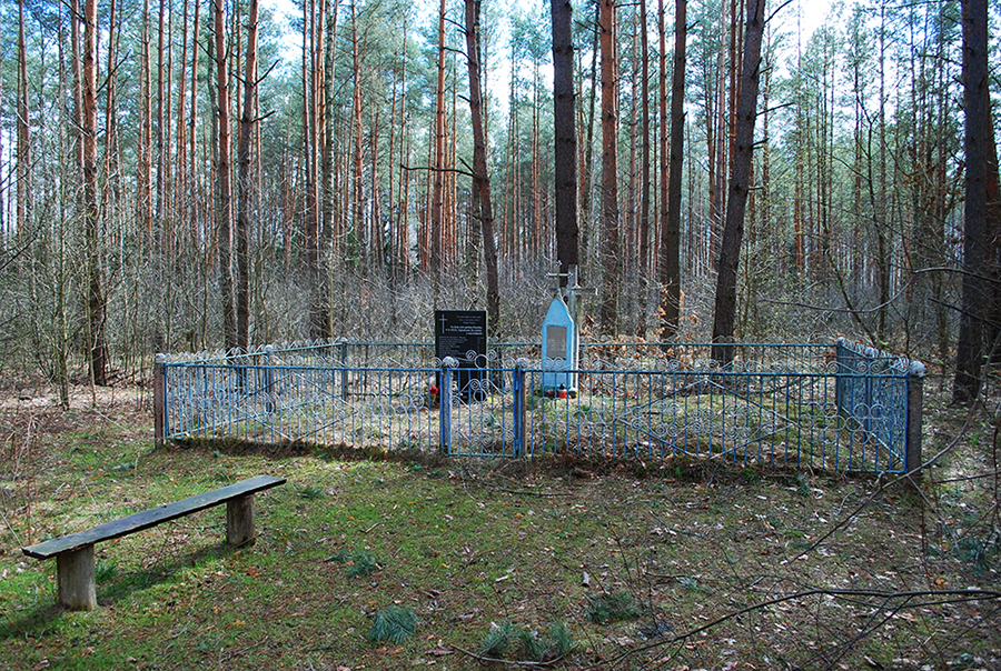 Могила в Парослі. Загорожа оточує не все місце поховання.