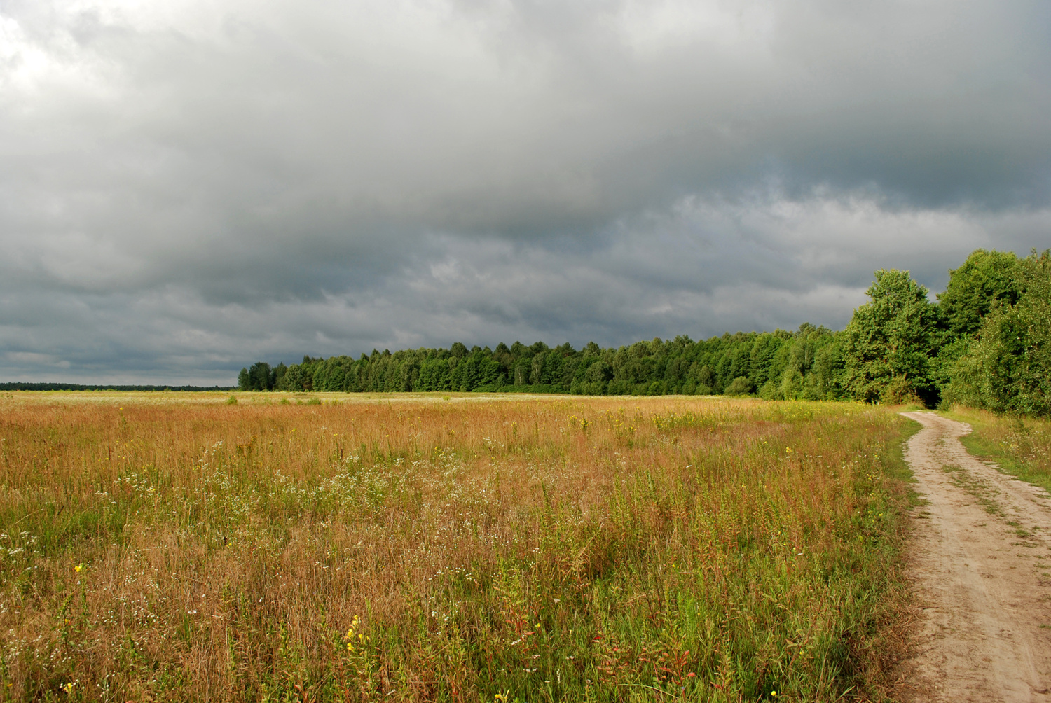 Pod lasem zaczynała się Omelanka.