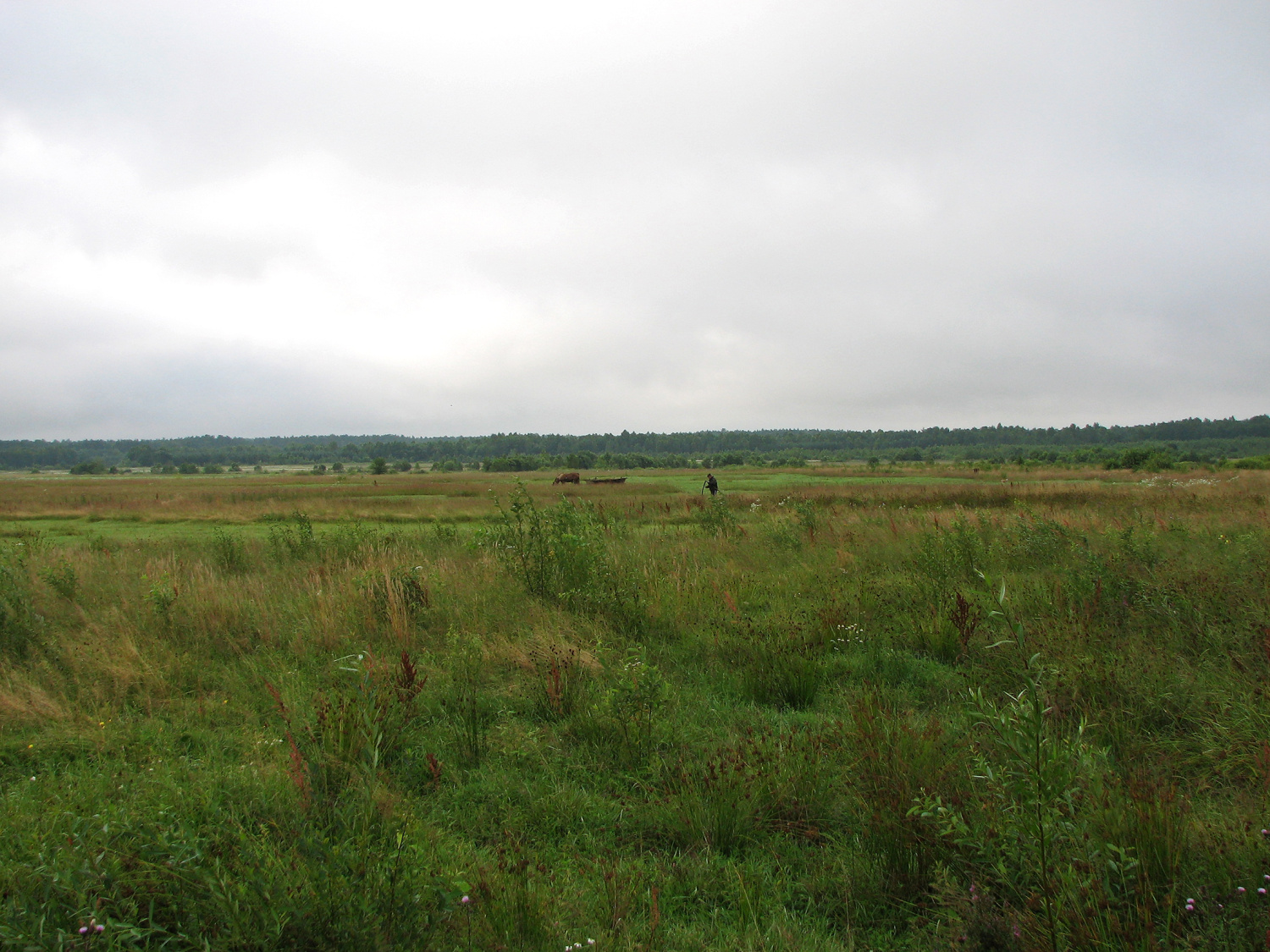 Tu było centrum Omelanki.