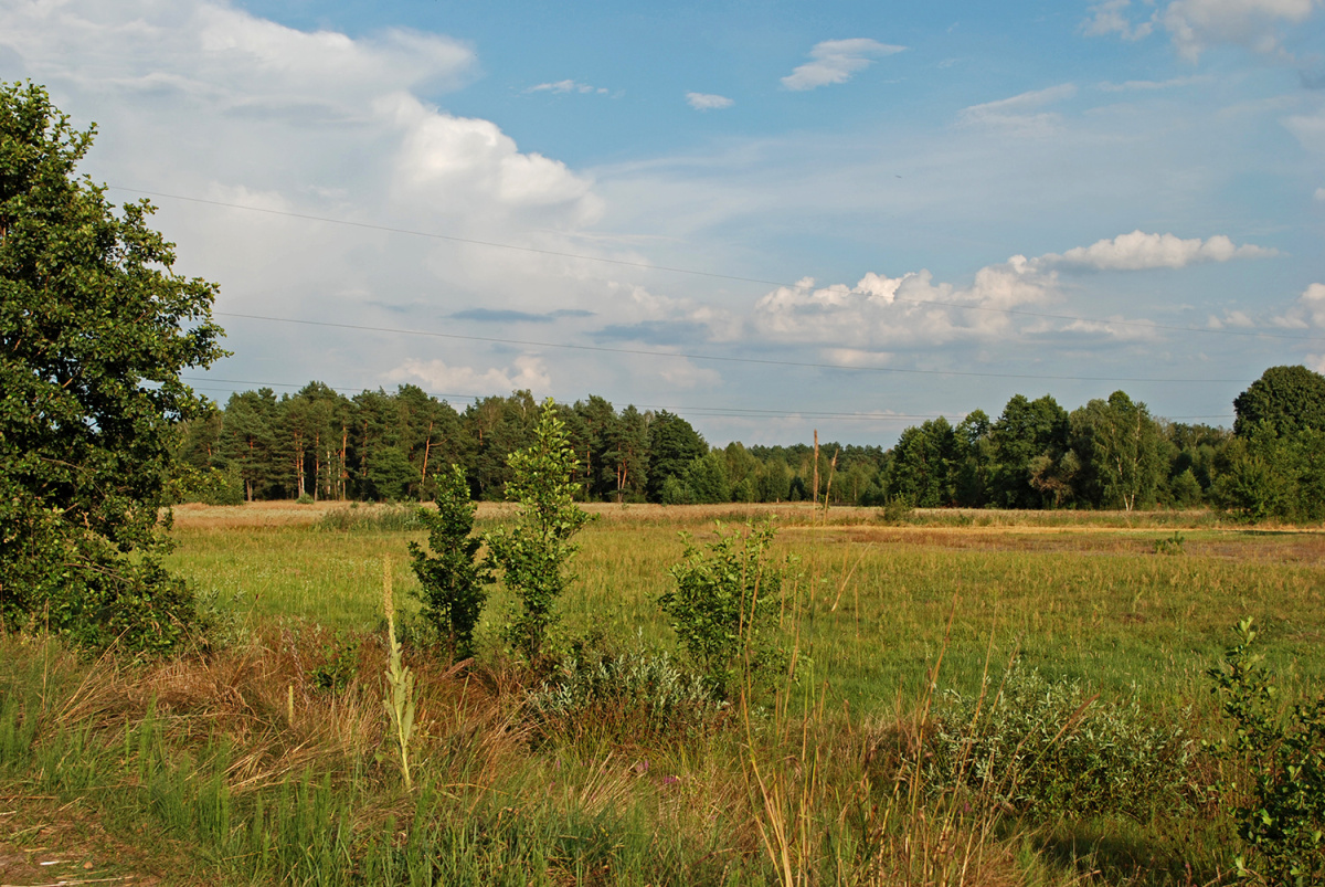 Tu kiedyś były Ostrówki, dziś pozostał jedynie piękny krajobraz i zupełna cisza, przerywana jedynie śpiewem licznych skowronków.