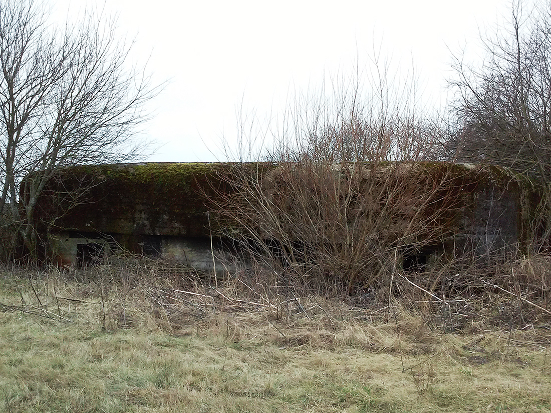 Bunkry żelbetonowe wybudowane w latach 30-tych.