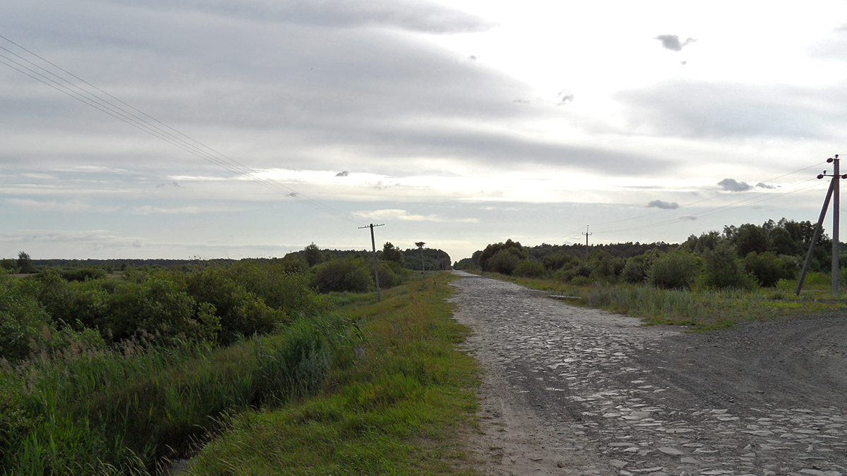 Дорога з Мидська до Осови навпростець. Зліва була Гута Мидська, а справа – Мутвиця.