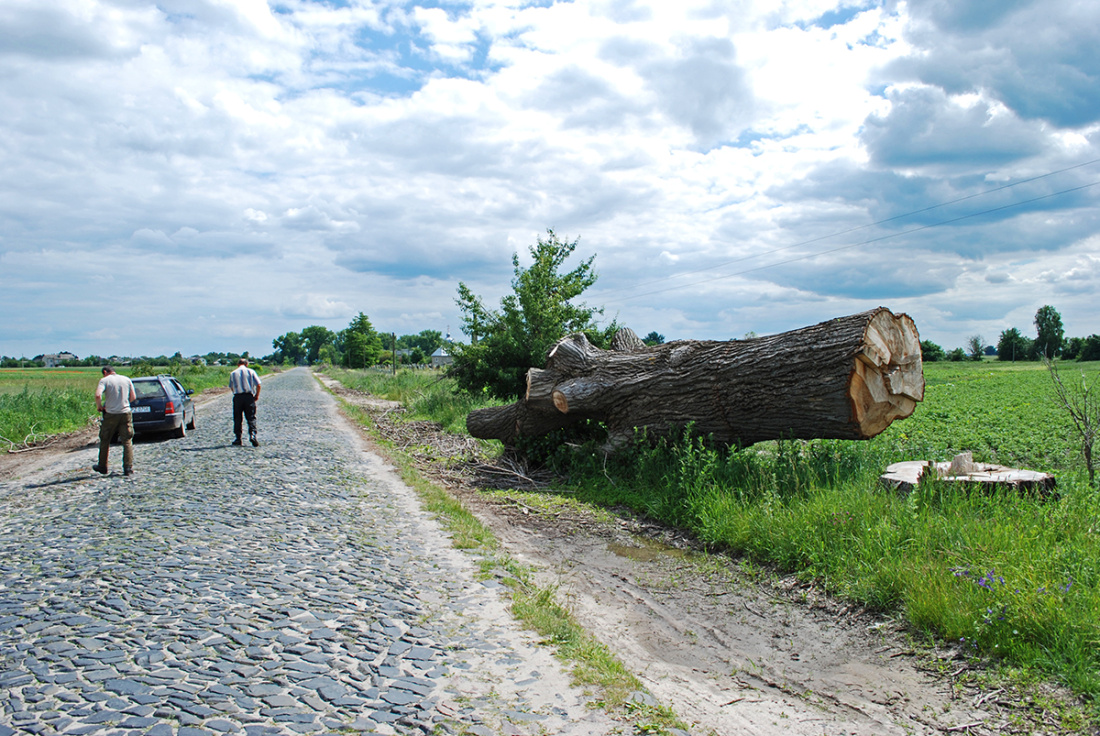 Na horyzoncie Stepań, w jego stronę posadzono topole.jpg