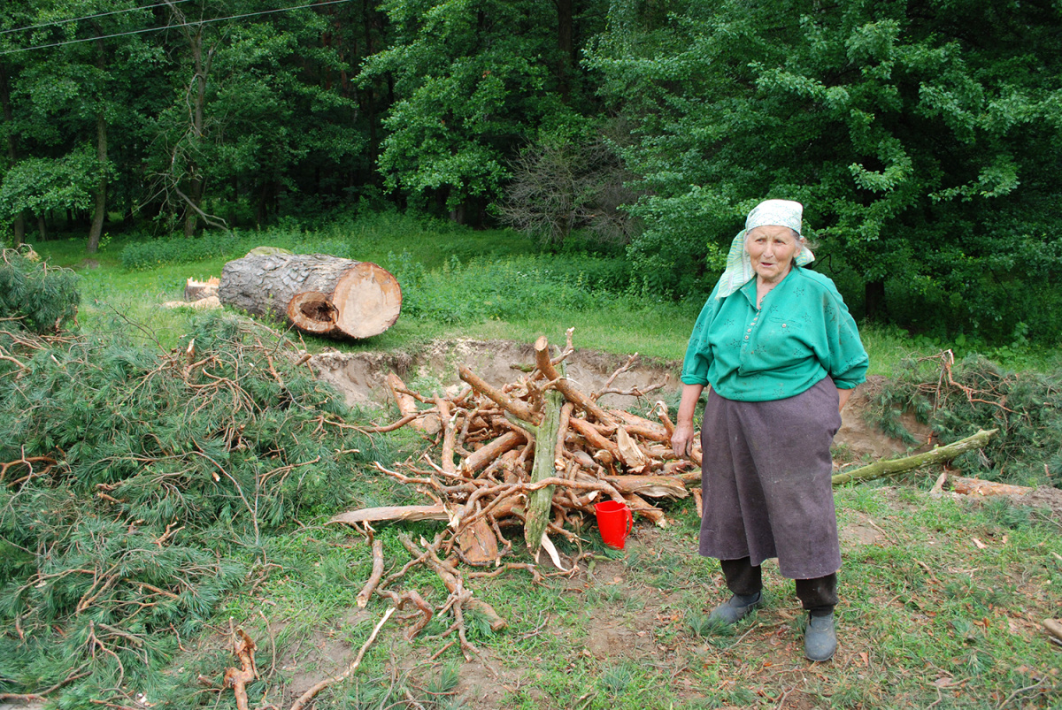Widząc kobietę zbierającą gałęzie, zatrzymałem się. Po wojnie tata zapisał się do kołchozu, nie miał wyjścia. Przyszli «nasi» (mówiła po nazwiskach) i Go zabili, na oczach jej i rodzeństwa. Zapytałem o Jej Matkę? Odpowiedziała – Mamę też zabili.jpg