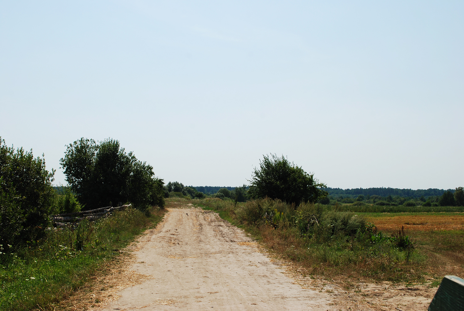 Widok od strony Rudnik na las, w którym znajdowały się Obórki.jpg