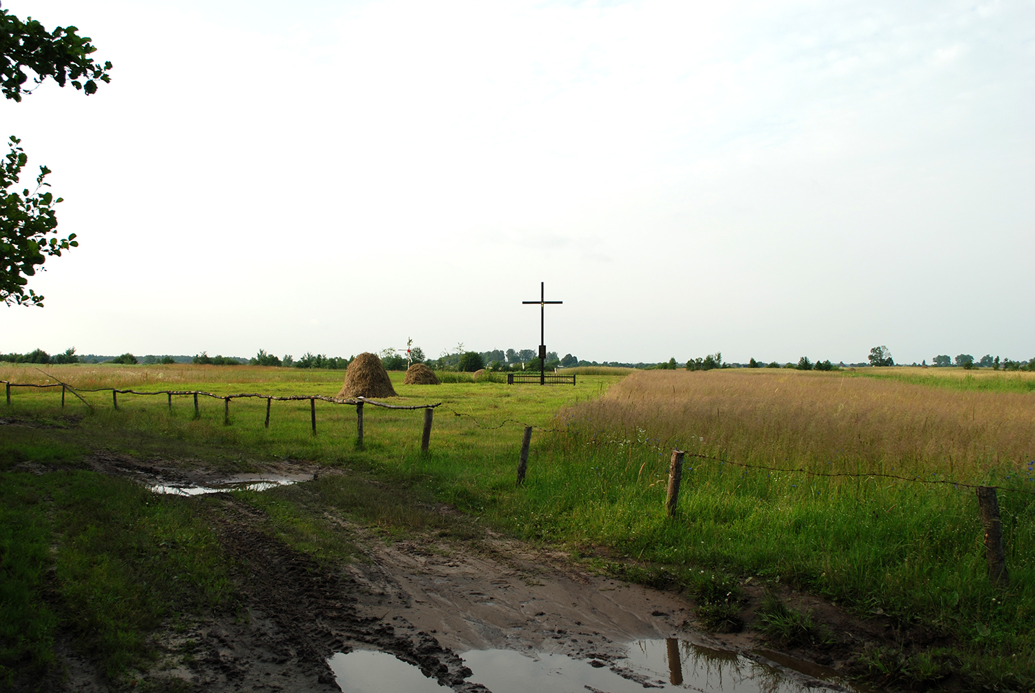 Місце, де колись у Вирці стояв костел Воздвиження Святого Хреста.jpg