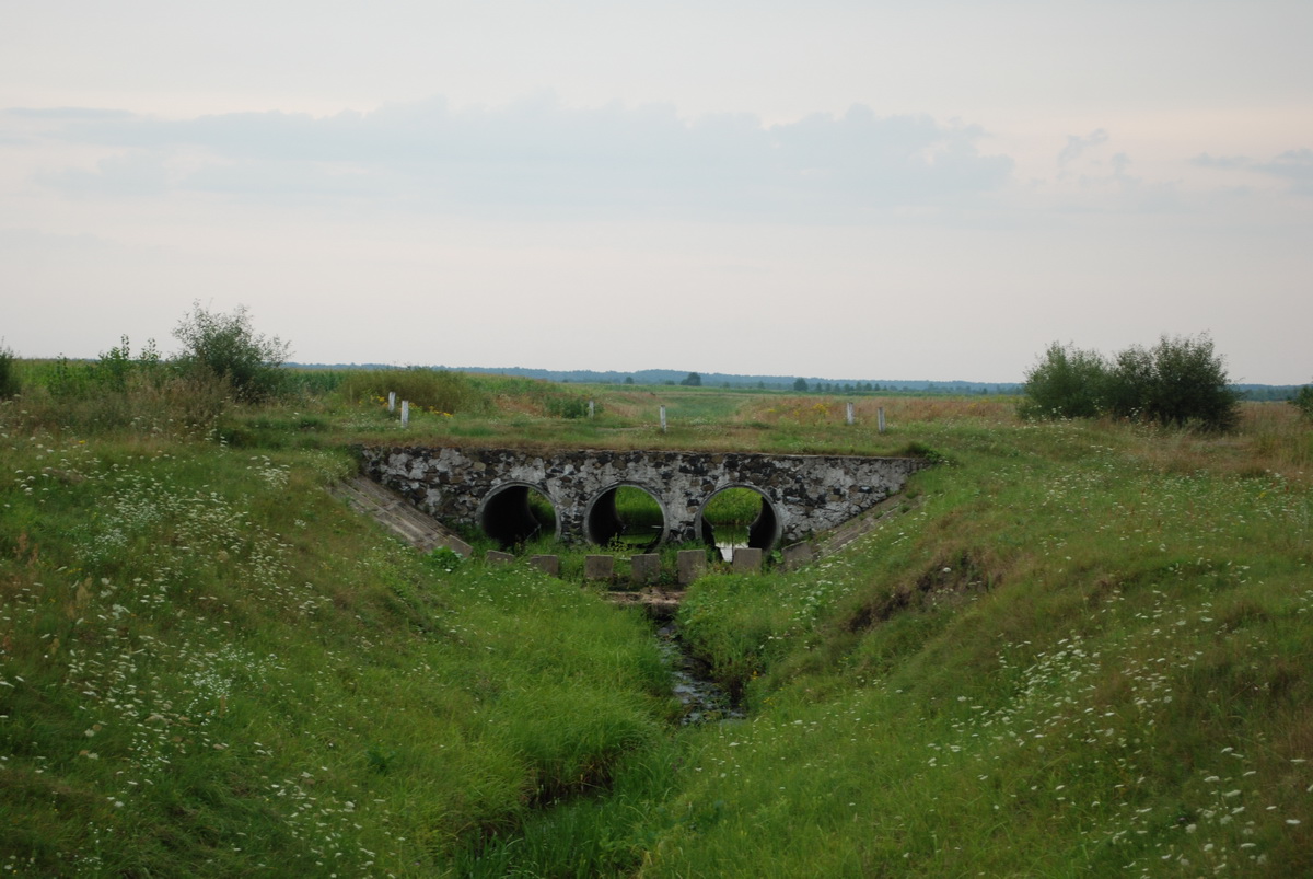 Rzeczka Mielnica, początek jej leniwego nurtu.