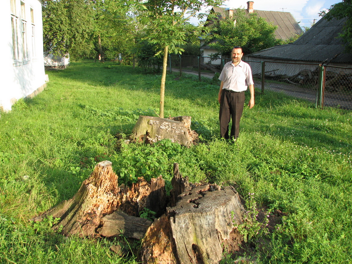 3. Przy kościele był pierwszy cmentarz, pozostały jeszcze wiekowe pnie po dębach.