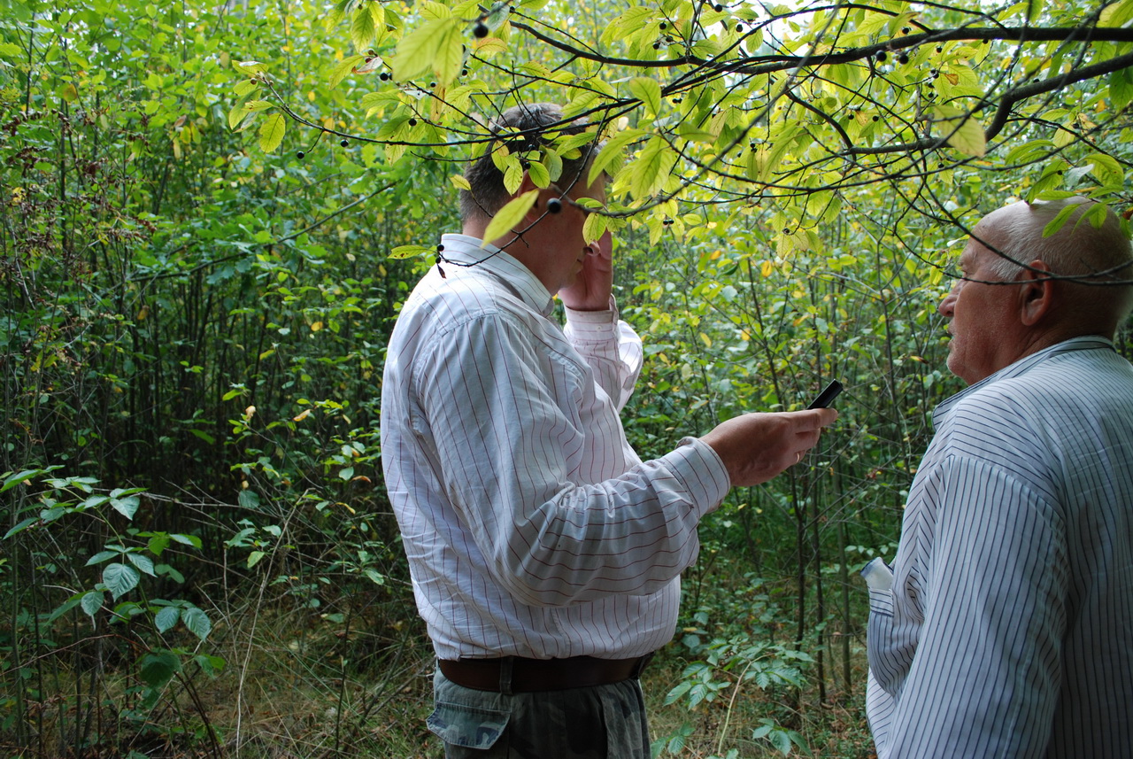 2. Nagrywam wypowiedź pastora Piotra Jurczuka.