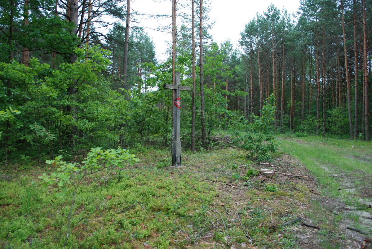7. Лісник наказав зрізати дерева й кущі біля хреста, щоб вони його не закривали.