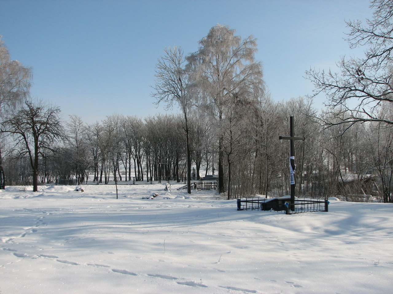 10. Новий цвинтар. Видно хрест, а за дорогою, серед дерев, зліва від високої берези, – інший, встановлений на Старому цвинтарі.