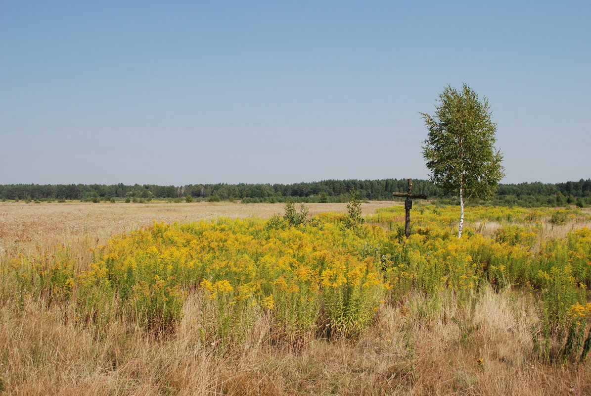 6. Краєвиди навколо хреста.