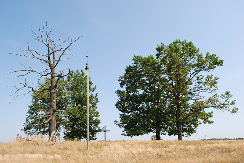 2. Cmentarz ewangelicki.