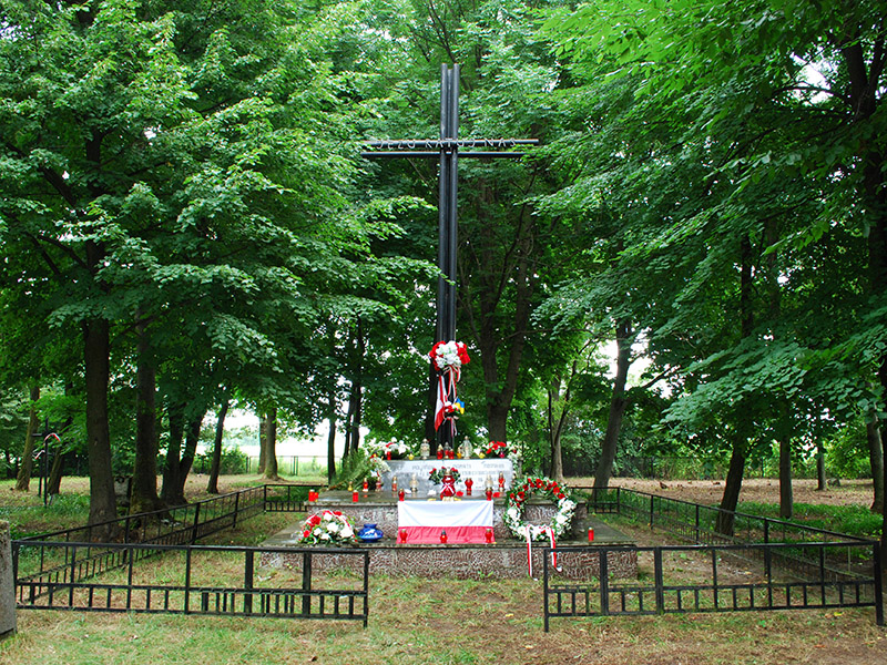 1. Цвинтар в Гуті Степанській.