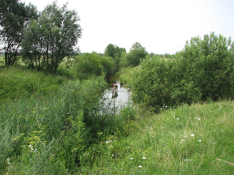 3. Річка Вирка.