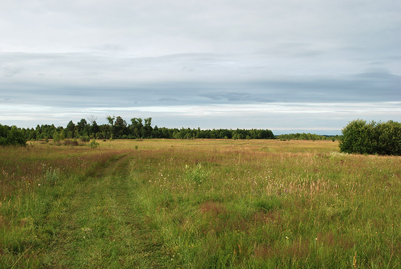 1. Na tych polach rozciągała się Wyrka. 