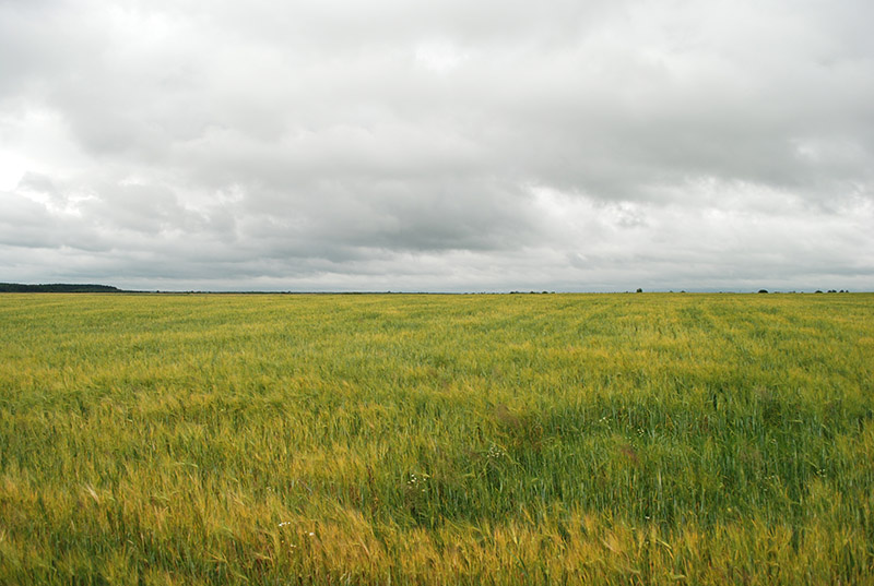 1. Widok z centrum Kamionki Nowej w kierunku Huty Stepańskiej.