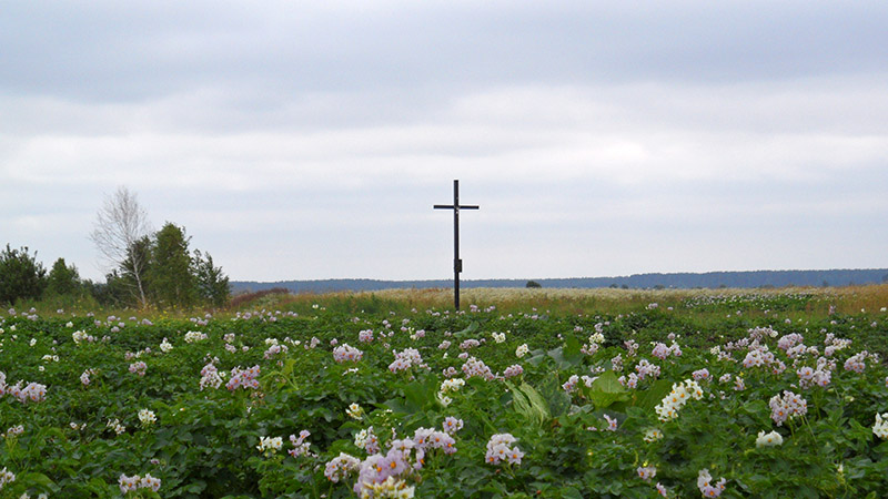 7. Za krzyżem widać las koło Mielnicy Małej.