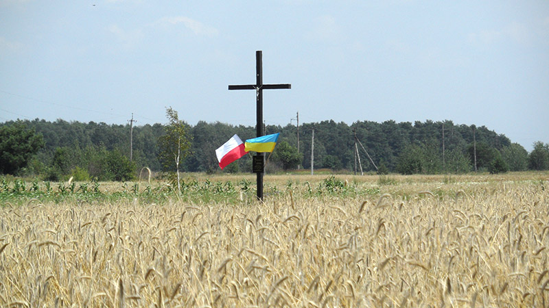 8. Tu z kolei za krzyżem jest las koło Butejek.