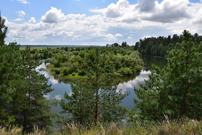 14. Звивини старої Горині.