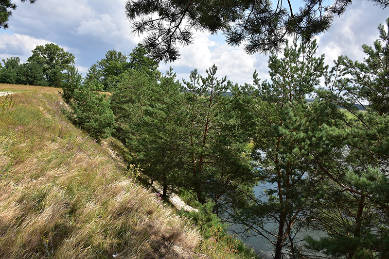 11. Skarpa nad Horyniem.