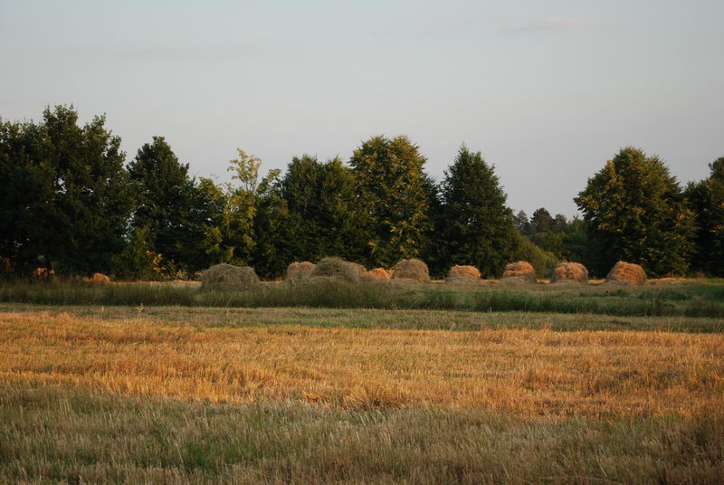 2. Місце, де знаходилося Мельникове.