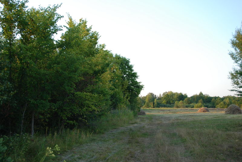 3. Місце, де знаходилося Мельникове.