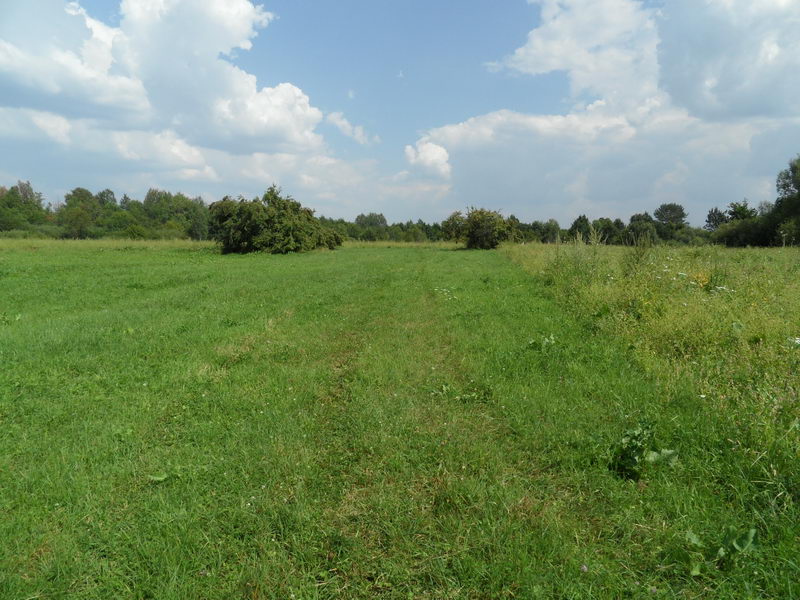 1. Tu była kolonia Mielnikowo.