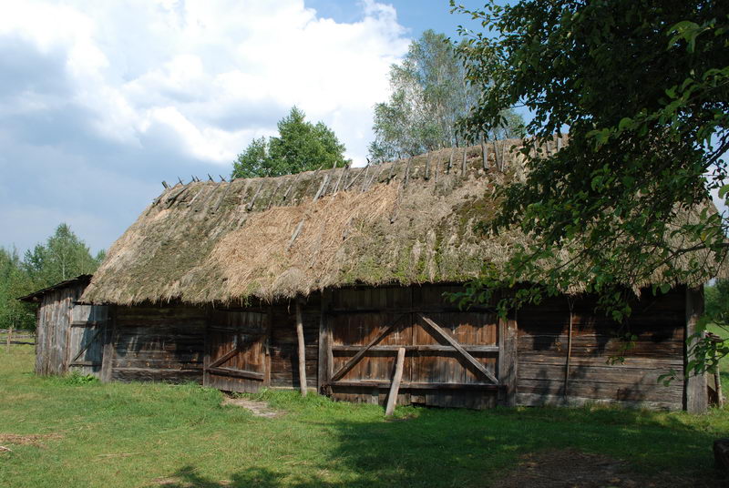 7. Na skraju Majdanu zachowała się jeszcze przedwojenna stodoła kryta słomą.