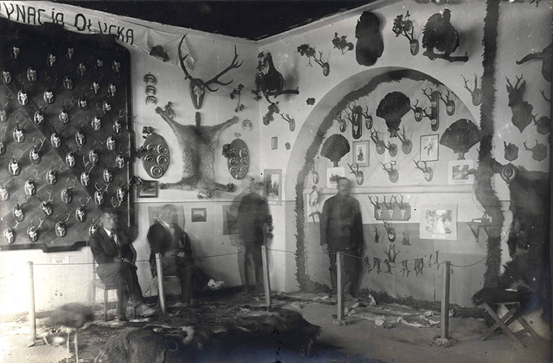 9. Sala eksponatów łowieckich 