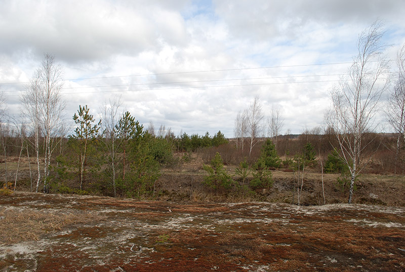 1. Тут було Ожгове.